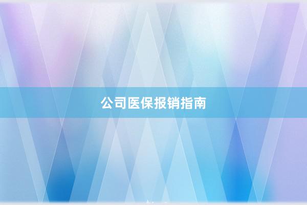 公司医保报销指南