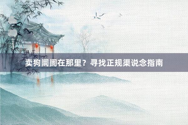 卖狗阛阓在那里？寻找正规渠说念指南