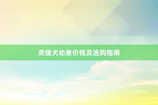 灵缇犬幼崽价钱及选购指南